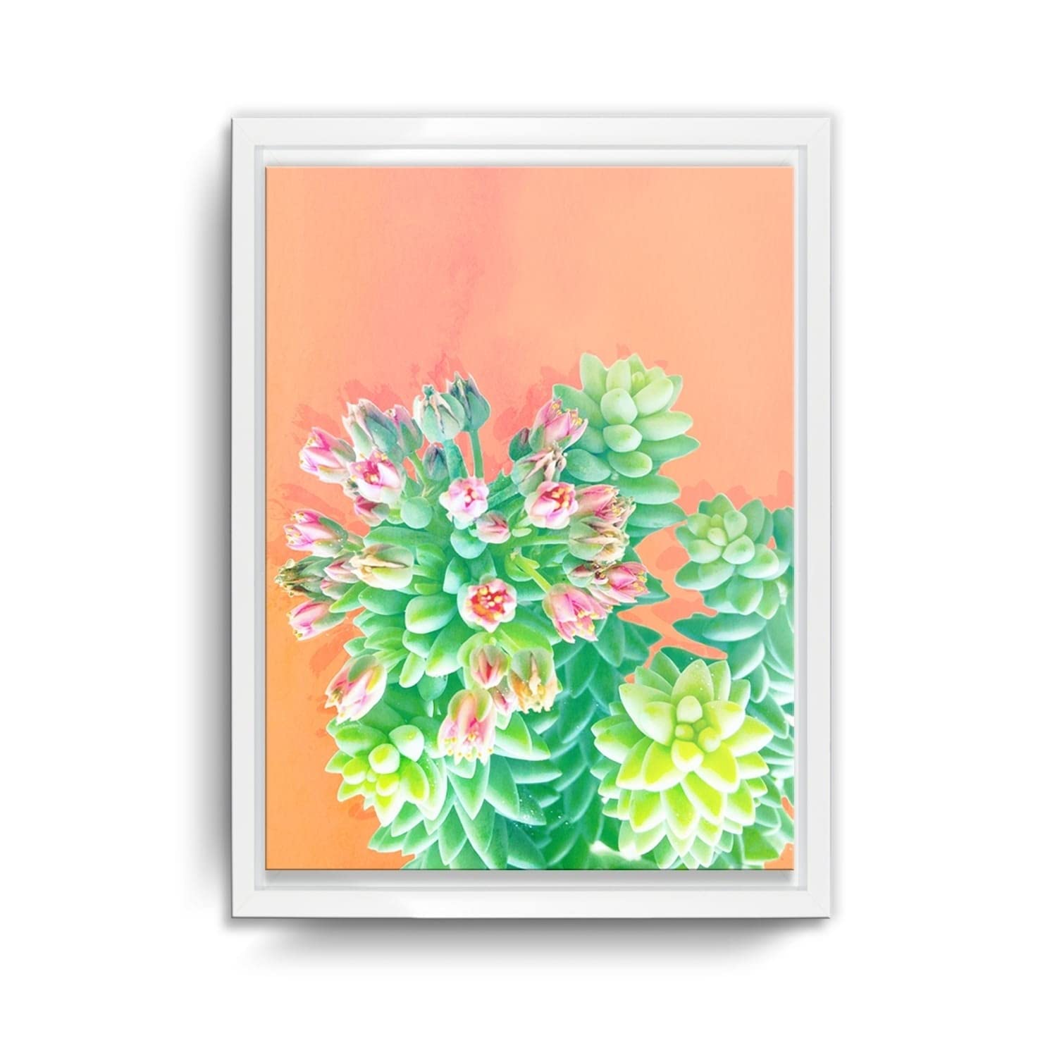 Ready2HangArt 'Fresh Growth' Framed Succulent Canvas Wall Art - Modern Botanical Home Decor for Living Room, Bedroom & Office - Perfect Housewarming Gift for Plant Lovers
