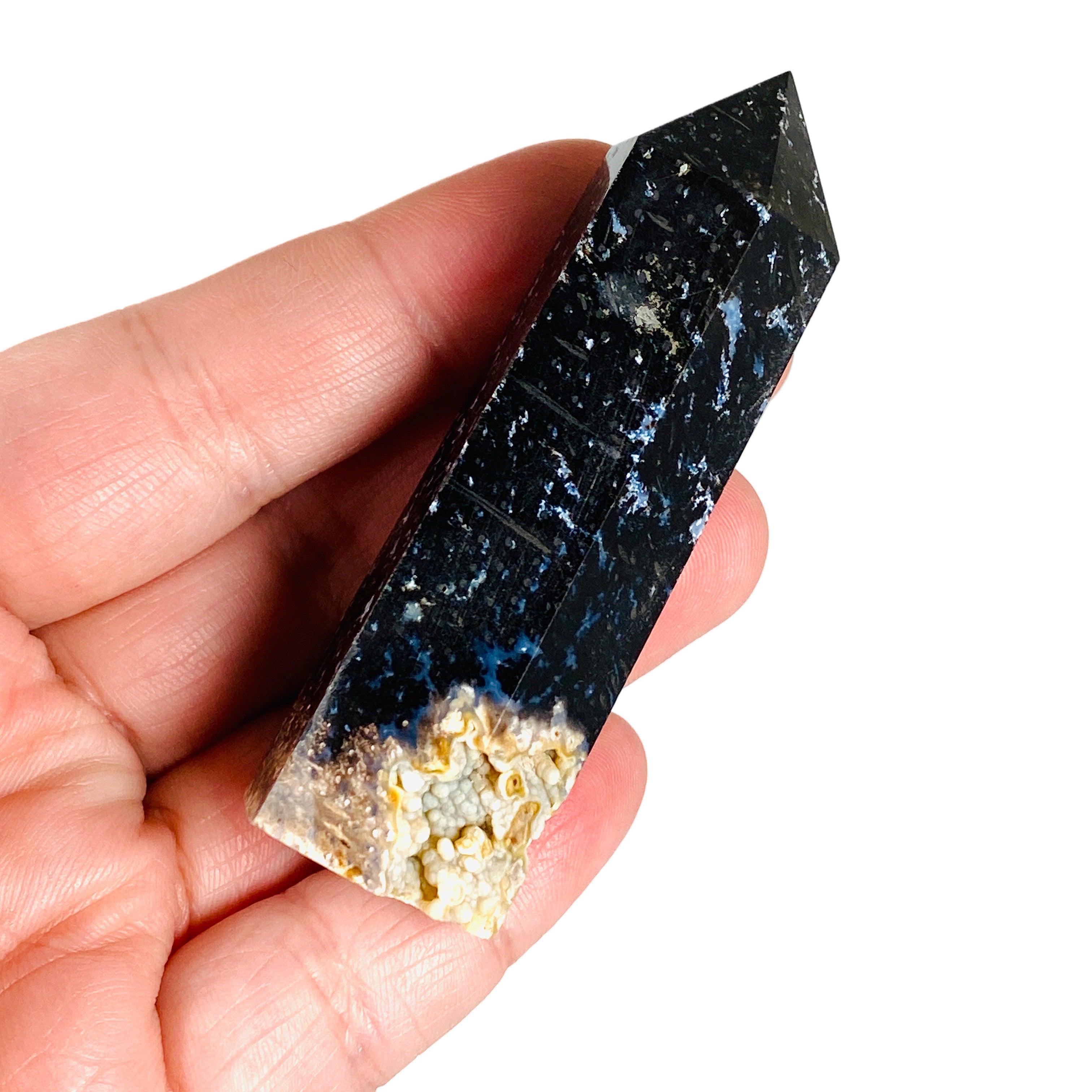 Petrified Palm Root Generator RTP 02 - Natural Fossilized Wood Power Source for Home Decor & Science Projects