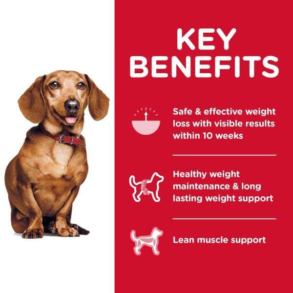 Hill's Science Diet Adult Perfect Weight Small & Mini Dry Dog Food - 4lb Bag for Weight Management | Healthy Kibble for Small Breed Dogs | Ideal for Indoor & Active Lifestyles