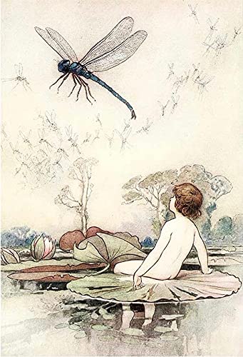 Child with Dragonfly - 2 Sheets