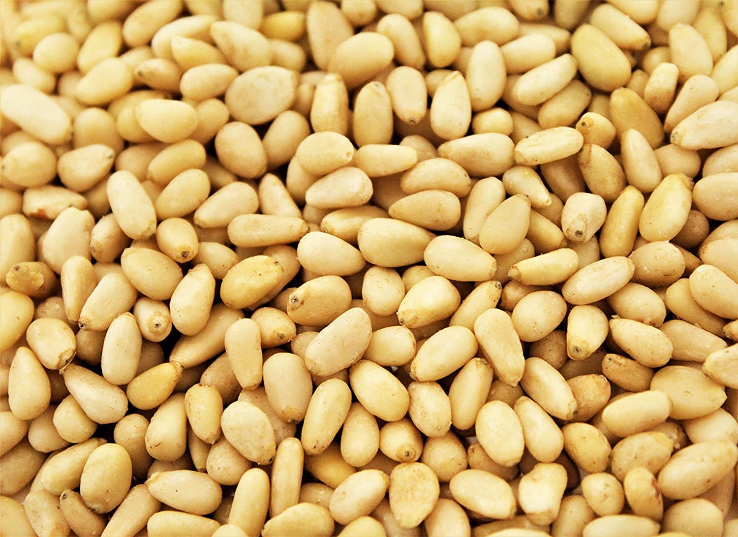 Premium Dry Roasted Pine Nuts by It's Delish - 40oz (2.5 lbs) Jumbo Size - Healthy Keto, Vegan & Kosher Snack - Perfect for Salads, Hummus, Granola, Ice Cream & Baking - Gourmet Pignolia Nuts for Cooking & Meal Prep