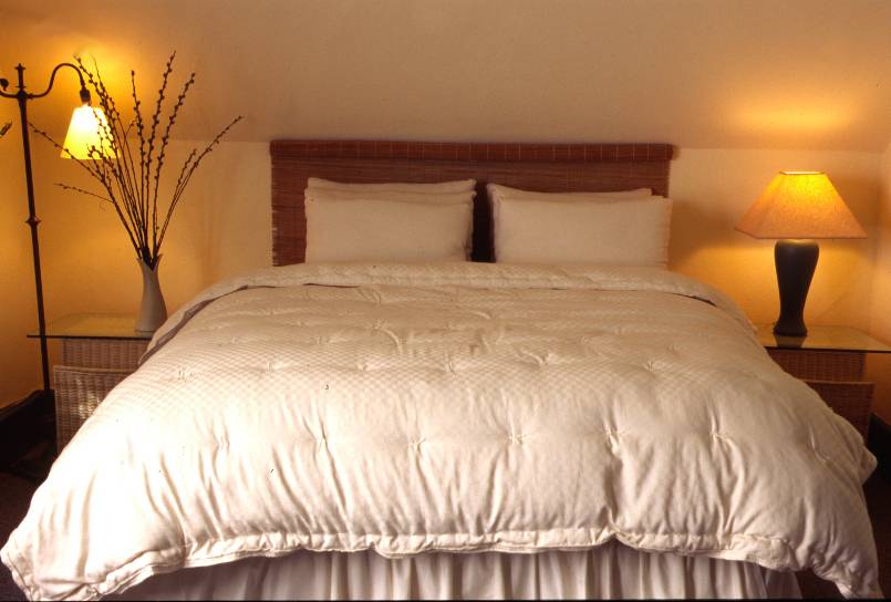 All Natural Dual Weight Comforter - Summer & Winter Reversible Down Alternative Blanket for Year-Round Comfort | Perfect for Bedroom, Guest Room & Dorm