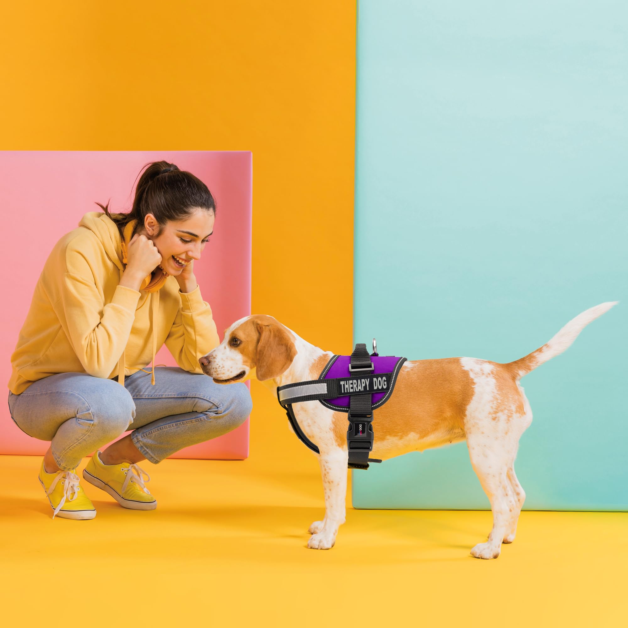 Premium Dog Vest Harness with 2 Removable Therapy Patches - Adjustable 28-38