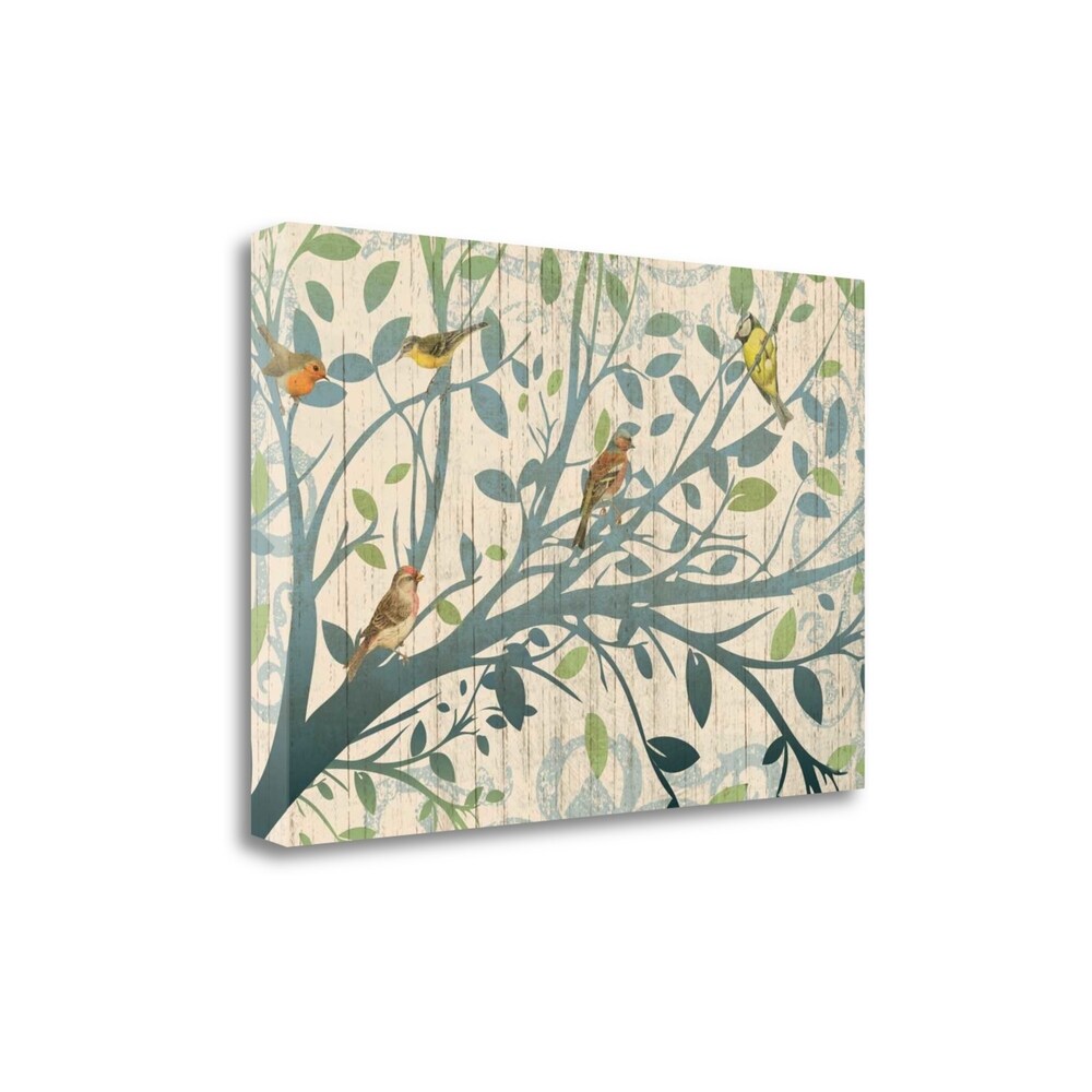 Bird Garden Fine Art Giclee Print by Piper Ballantyne - Gallery Wrapped Canvas Wall Art, Ready to Hang - Perfect for Living Room, Bedroom & Office Decor