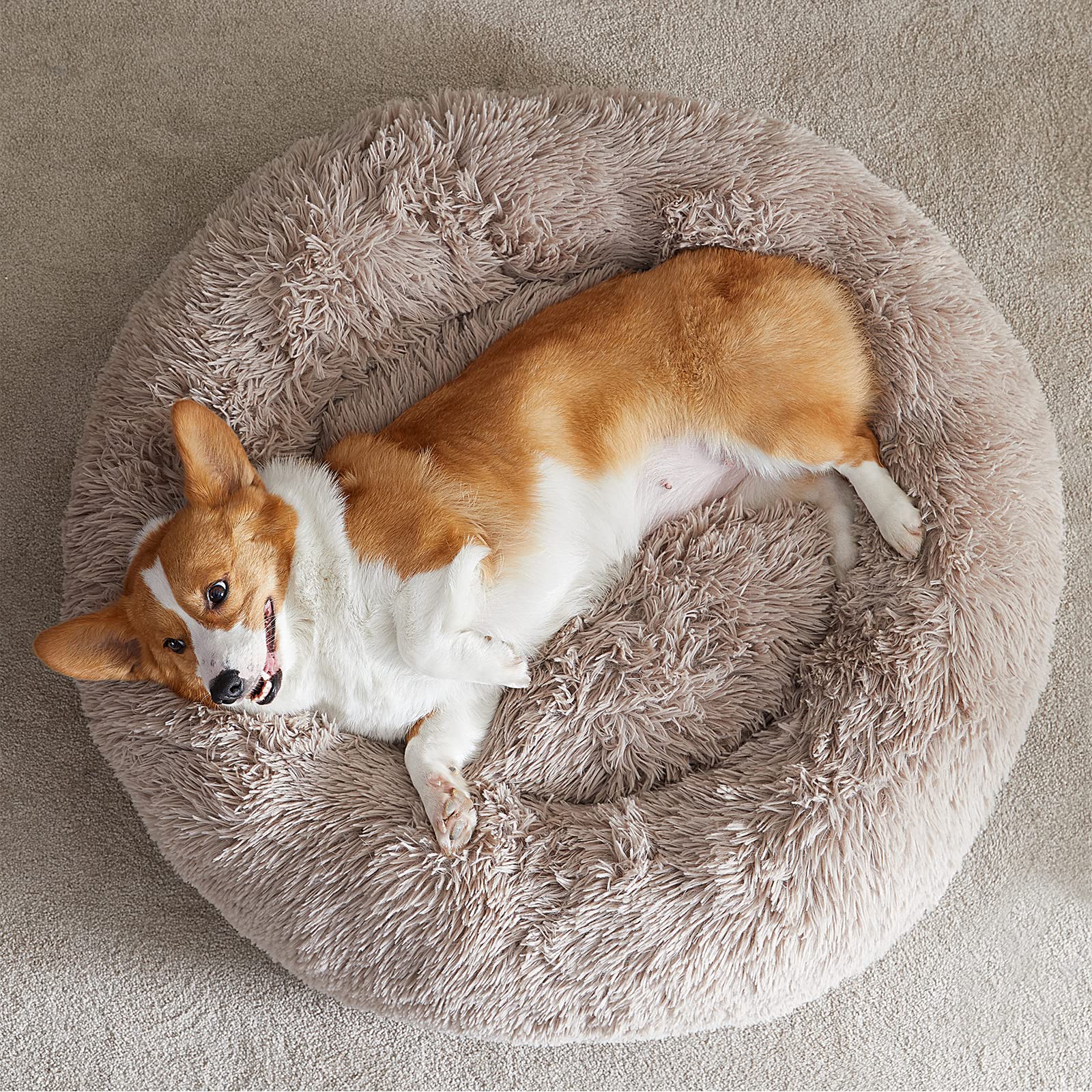WNPETHOME Self-Warming Donut Pet Bed for Dogs & Cats - 30 x 30 x 10 Inch Plush Round Faux Fur Cuddler Bed, Calming Comfort for Anxious Pets (Brown) - Perfect for Crate Training, Lounging & Stress Relief