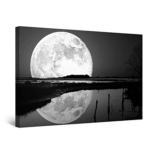 Black White Moon