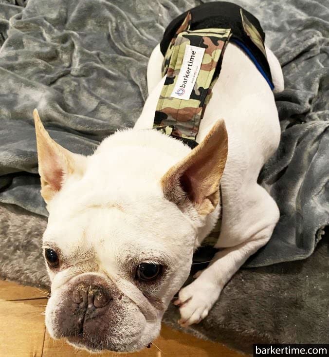 Camo on Black Dog Diaper Overall XXL with Tail Hole - Waterproof Pet Diaper for Incontinence - Made in USA - Perfect for House Training, Travel & Elderly Dogs