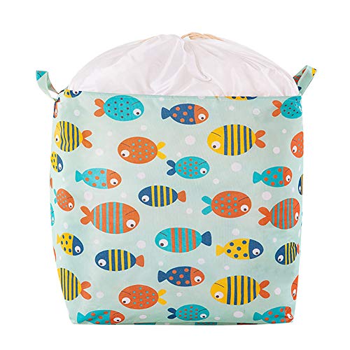 3-Fish