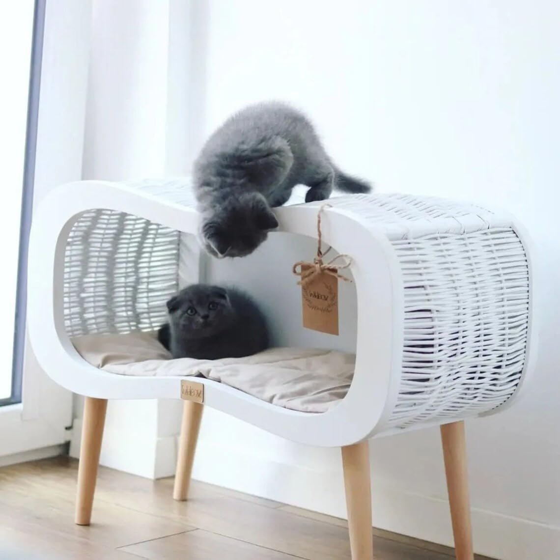 Handmade Wicker Cat Bed with Mattress - Infinity Leg Design - Natural Comfortable Cozy Pet Bed for Indoor Cats - Durable Plywood Base - 100% Polish Craftsmanship | Perfect for Living Rooms, Bedrooms & Cat Lounging Areas