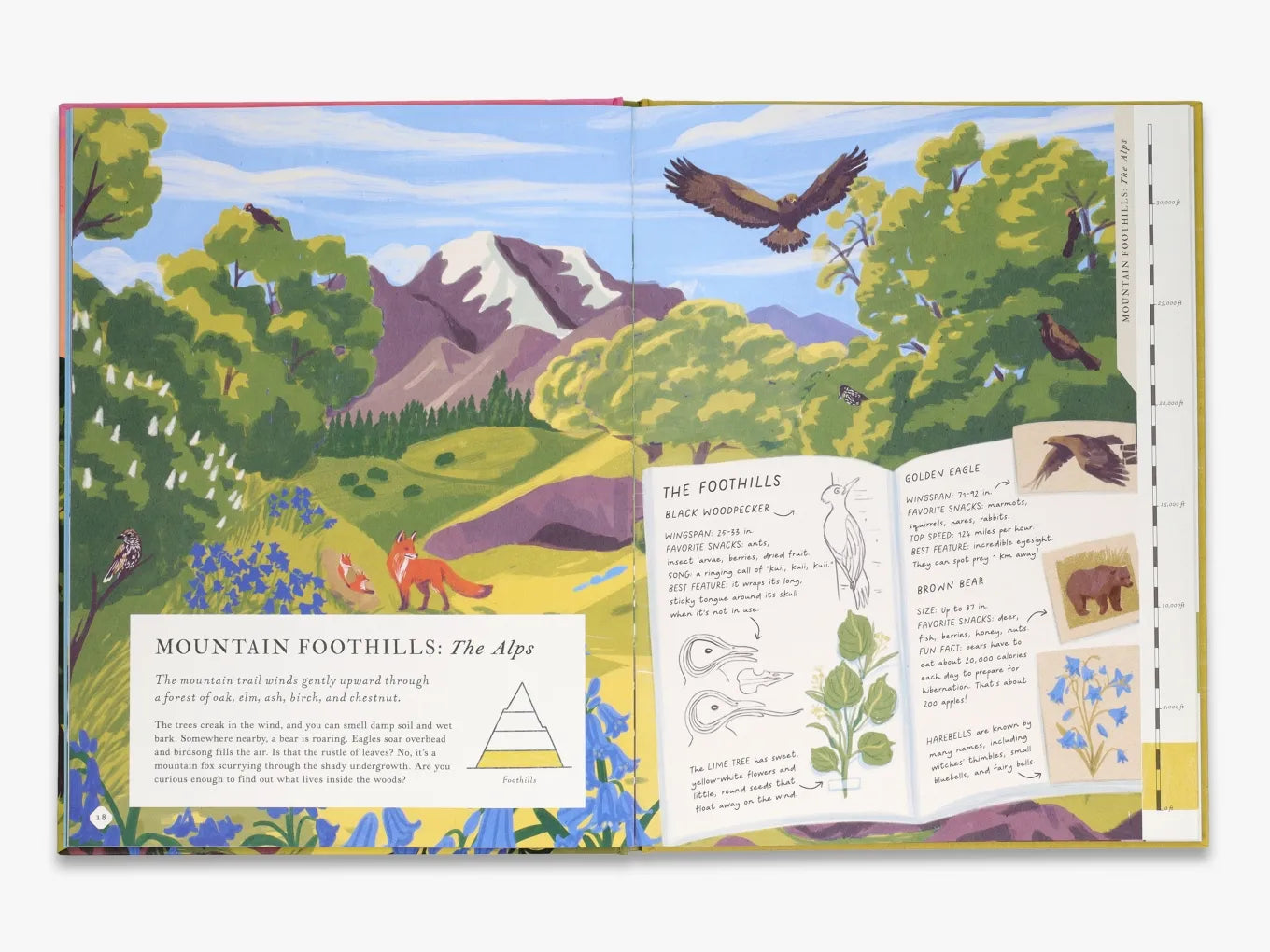 There's a Mountain in This Book - Interactive Children's Storybook for Adventure & Learning | Perfect for Bedtime Reading & Classroom Activities