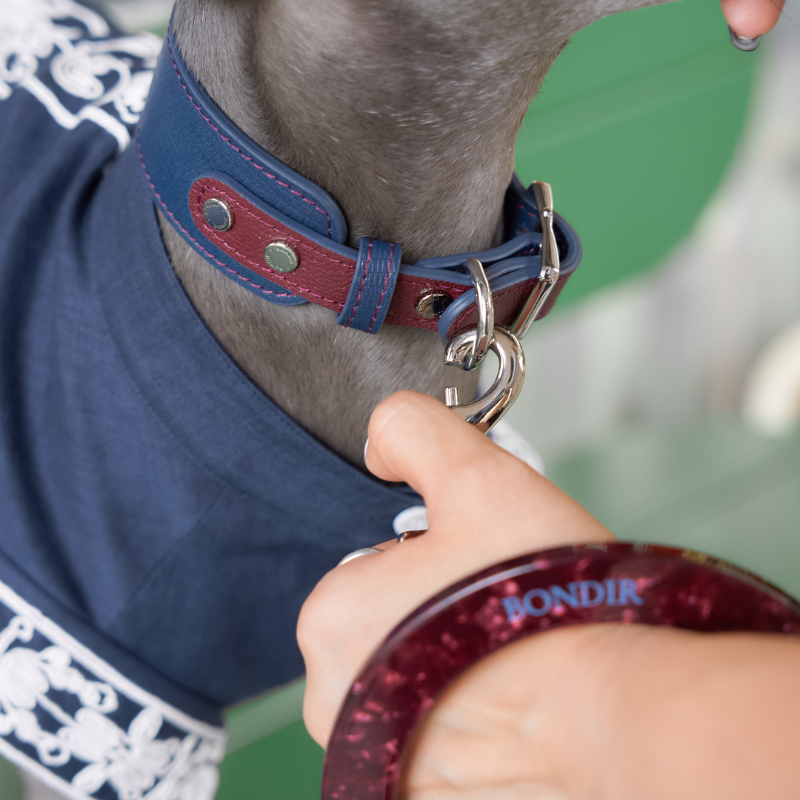 Premium Rosette Leather Dog Collar - Adjustable & Stylish Pet Accessory for Small to Medium Dogs - Perfect for Walks, Training & Fashion