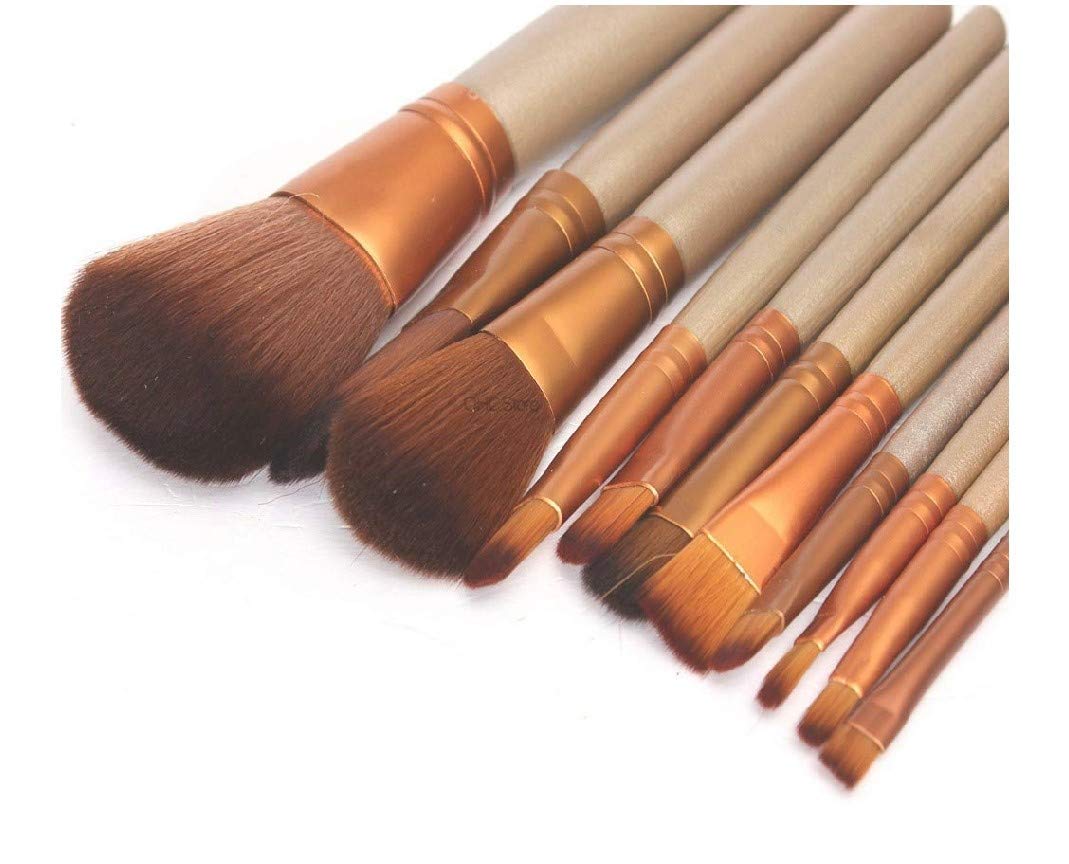Premium 12-Piece Makeup Brush Set with Silver Storage Box - Soft Bristles for Foundation, Blending, Contouring - Perfect for Professional Makeup Artists & Home Use
