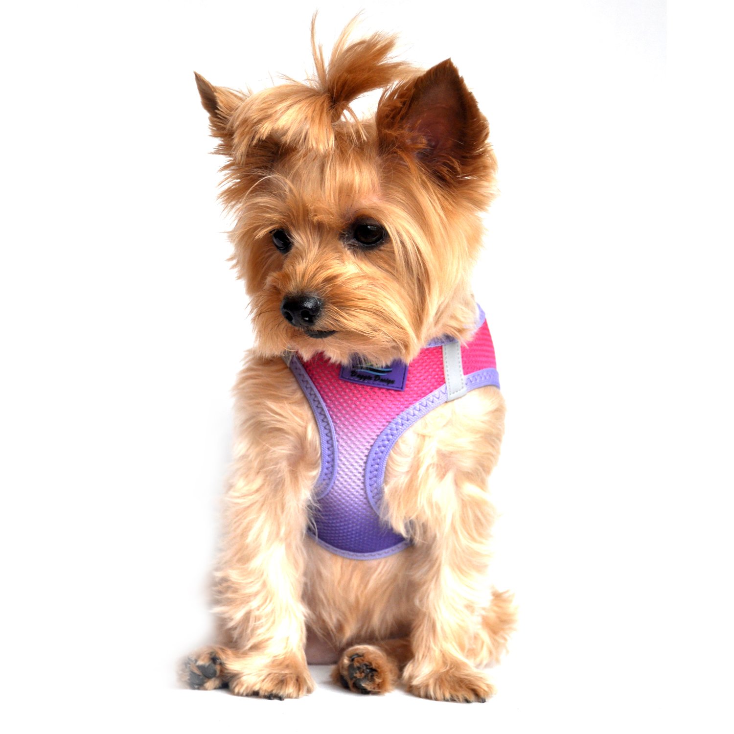 Doggie Design No-Choke Dog Harness - Breathable Mesh Polyester Pet Vest with Easy Step-in Design for Small Dogs (Raspberry Sundae, XS) - Perfect for Walking, Training & Outdoor Adventures