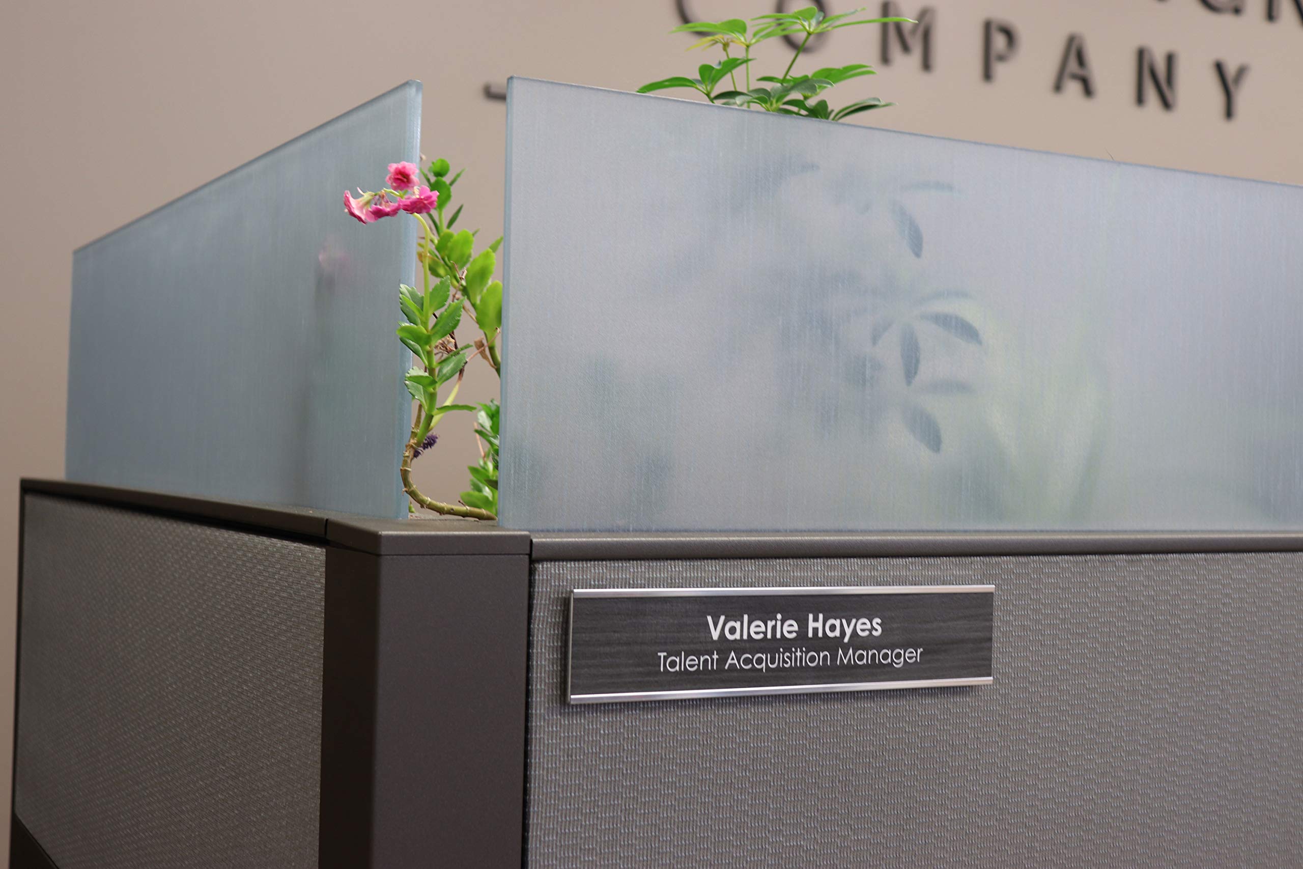 100pc Cubicle Pins for Office Partitions & Fabric Mounting - USA Made - Perfect for Workspace Organization