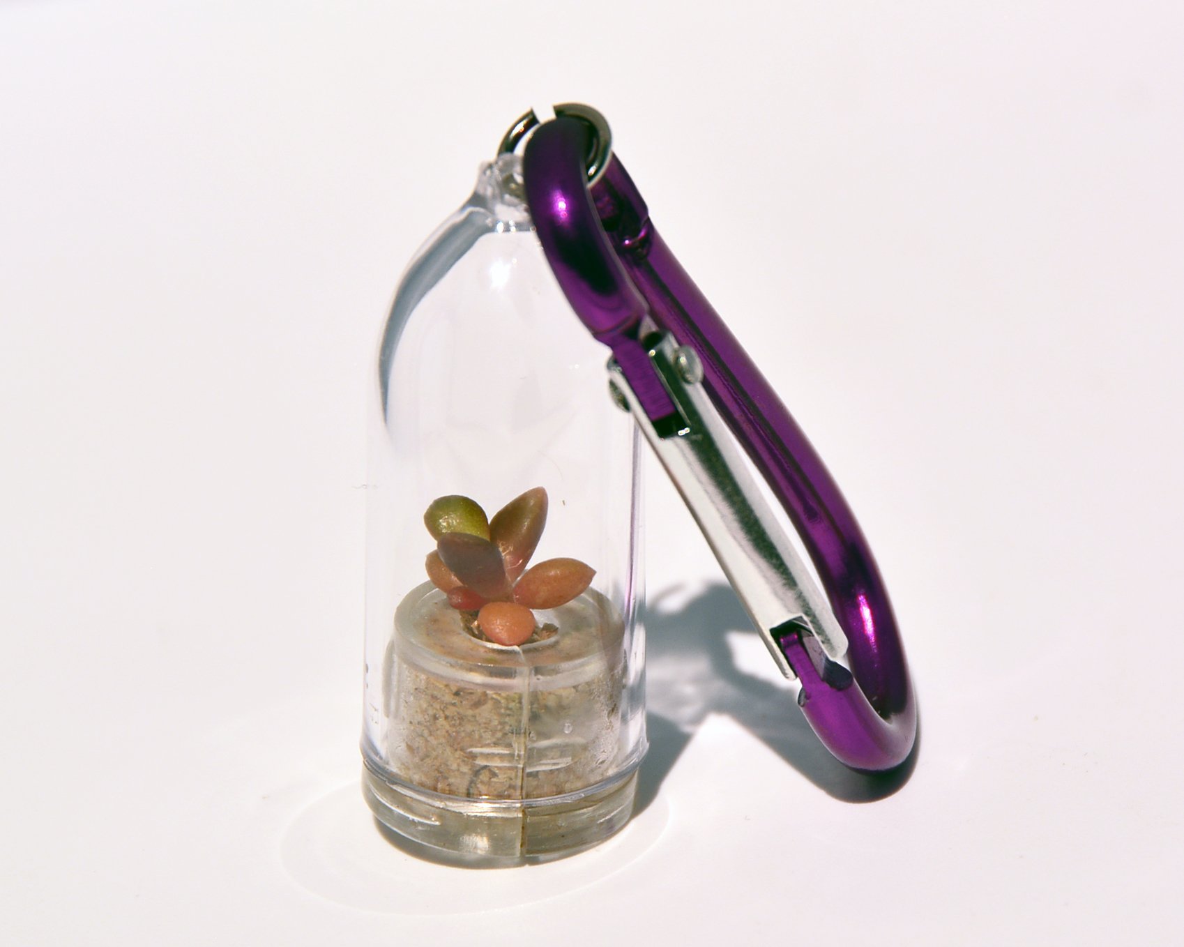 Pinky Flower Necklace Terrarium with Live Succulent & Cacti Plant - Purple Clip Keychain Pendant for Women | Unique Living Plant Jewelry Gift for Birthdays, Weddings & Boho Fashion Accessories
