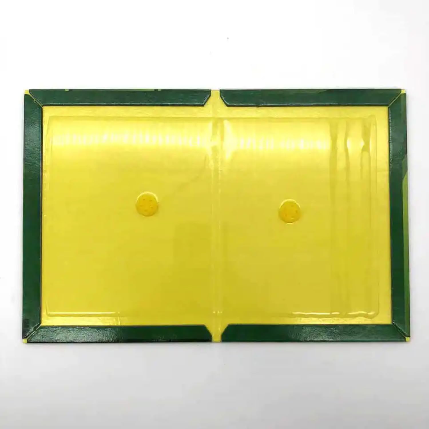 Green & Yellow Sticky Insect Traps for Indoor & Outdoor Use - Large 6.5 x 8 Inch Fly Catcher Glue Boards (Pack of 5) - Perfect for Garden, Greenhouse, and Home Pest Control