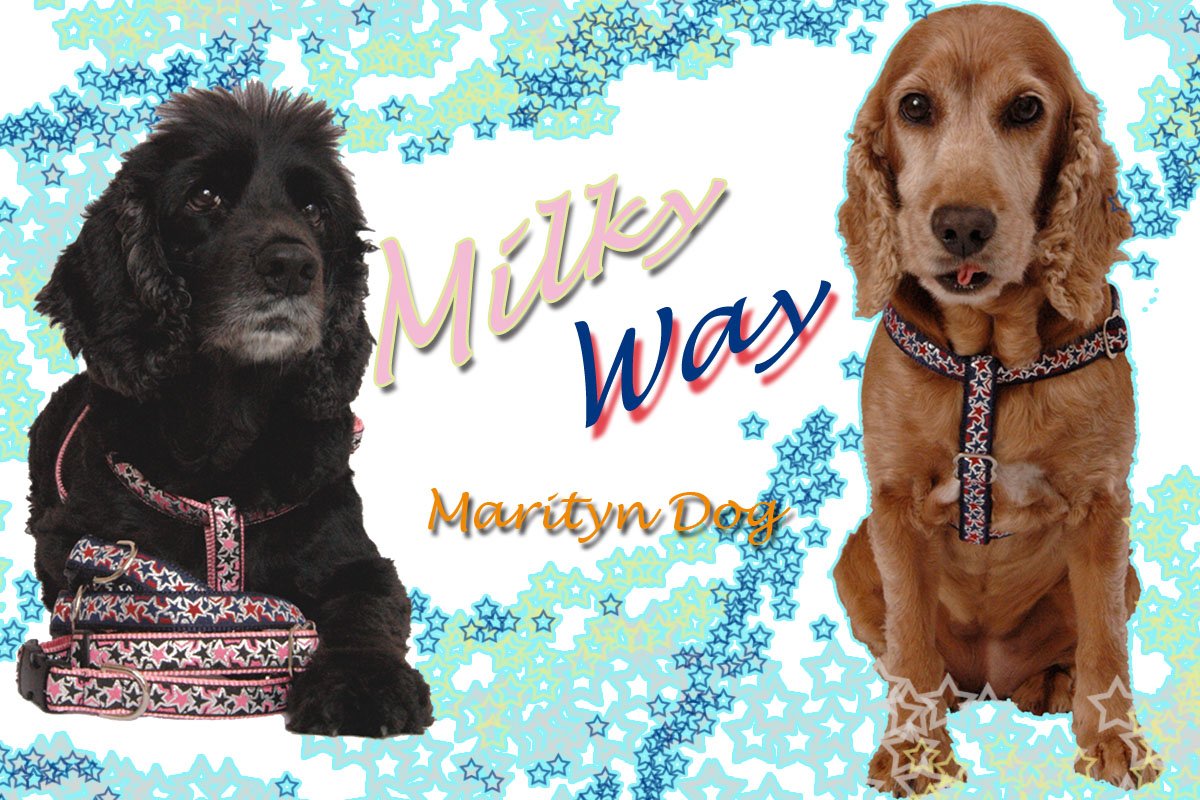 Pink Nylon Dog Collar with Metallic Star Ribbon - Adjustable Pet Collar for Small, Medium & Large Dogs | Handmade in USA | Matching Leash & Harness Available | Perfect for Daily Walks, Training & Fashion Accessories