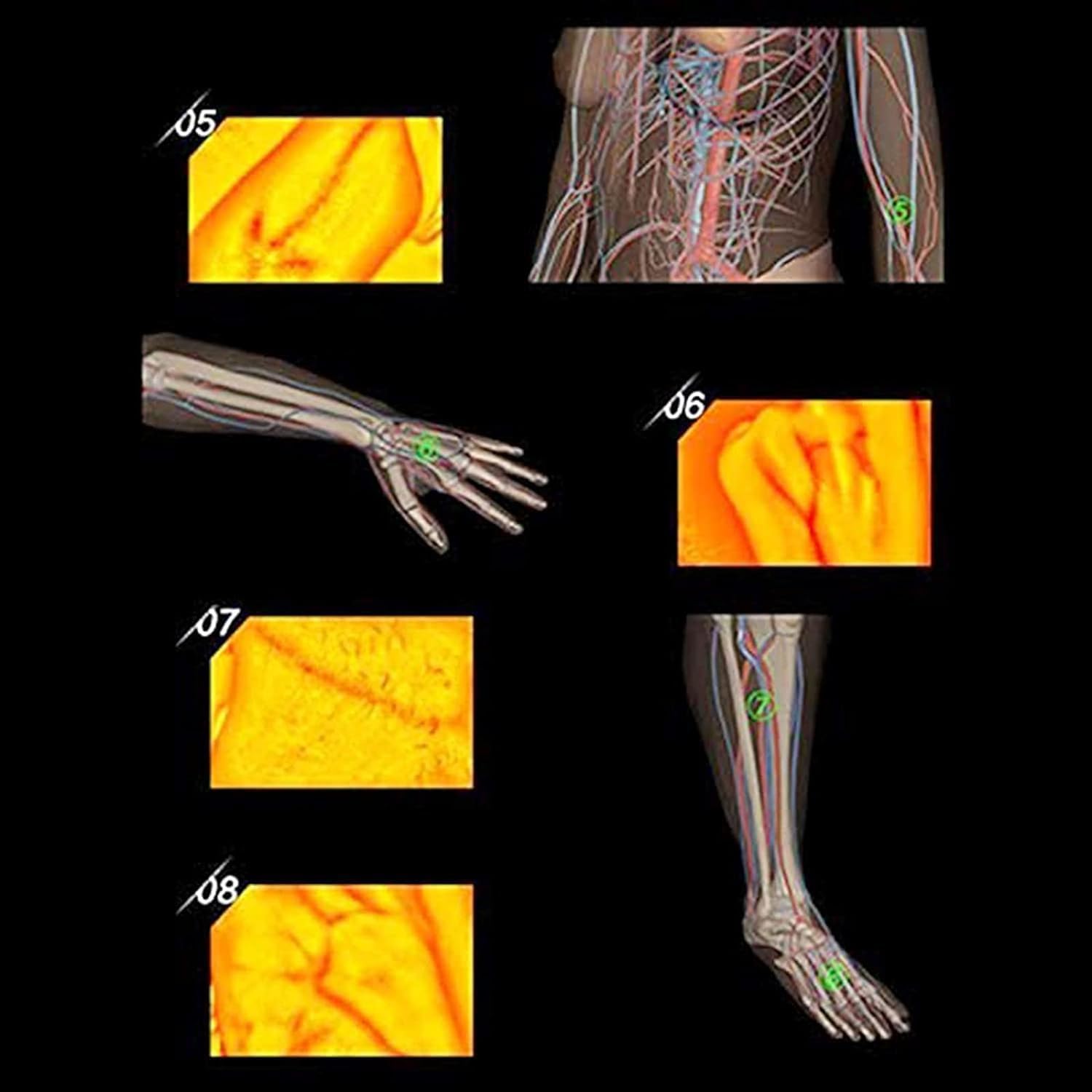 Portable Vein Finder Viewer - Blood Vessel Detector with LED Illumination for Easy Subcutaneous Vein Location | Medical Device for Nurses, Elderly & Children Care | Perfect for IV Insertion, Blood Draw & Phlebotomy Procedures