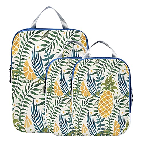 Tropical 02