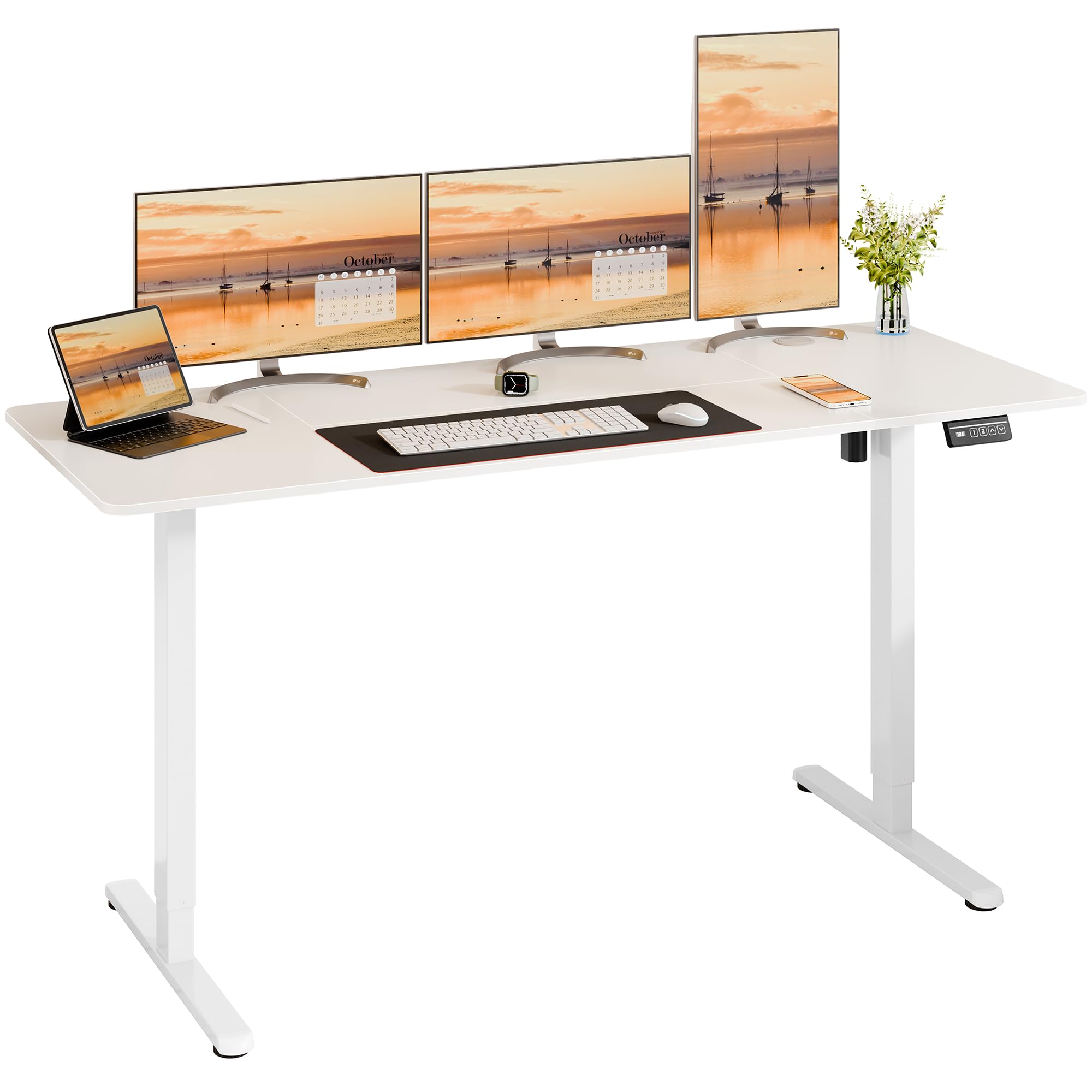 Meilocar Electric Standing Desk 63