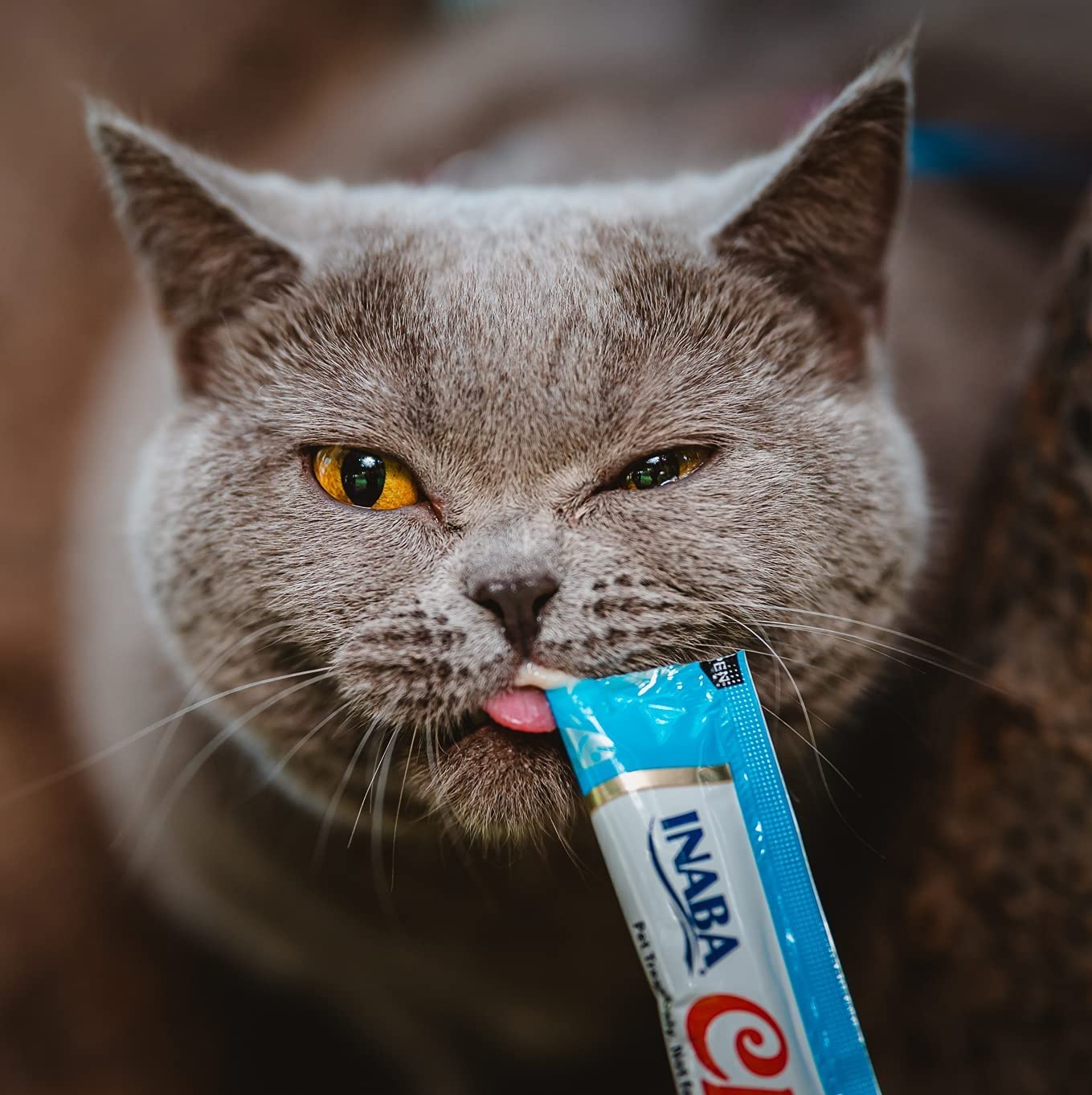 INABA Churu Lickable Purée Natural Cat Treats - Tuna Flavor (4 Tubes) | Grain-Free Wet Cat Snacks for Hydration & Training | Perfect for Picky Eaters & Senior Cats