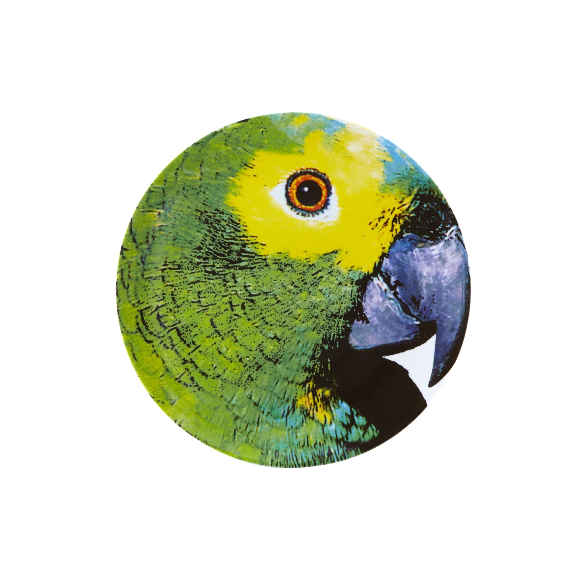 Olhar O Brasil 12.88 Inch Parrot Themed Decorative Charger Plate - Perfect for Tropical Party Decor, Brazilian Theme Dinnerware, and Vibrant Table Setting