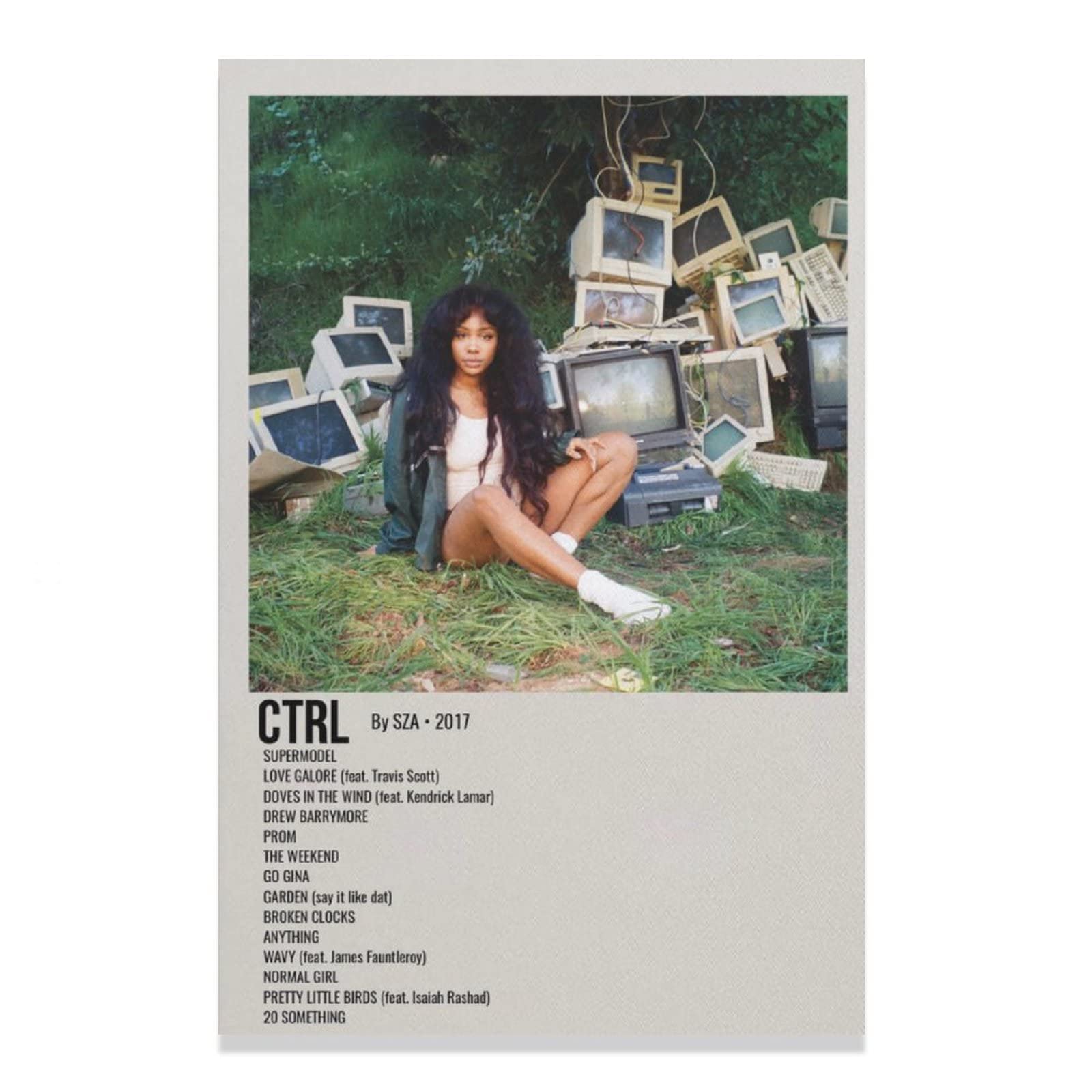 Ctrl Sza Canvas Poster - 12x18inch (30x45cm) Unframed Wall Art for Bedroom, Office & Sports Themed Decor - Perfect Gift for Home & Work Spaces