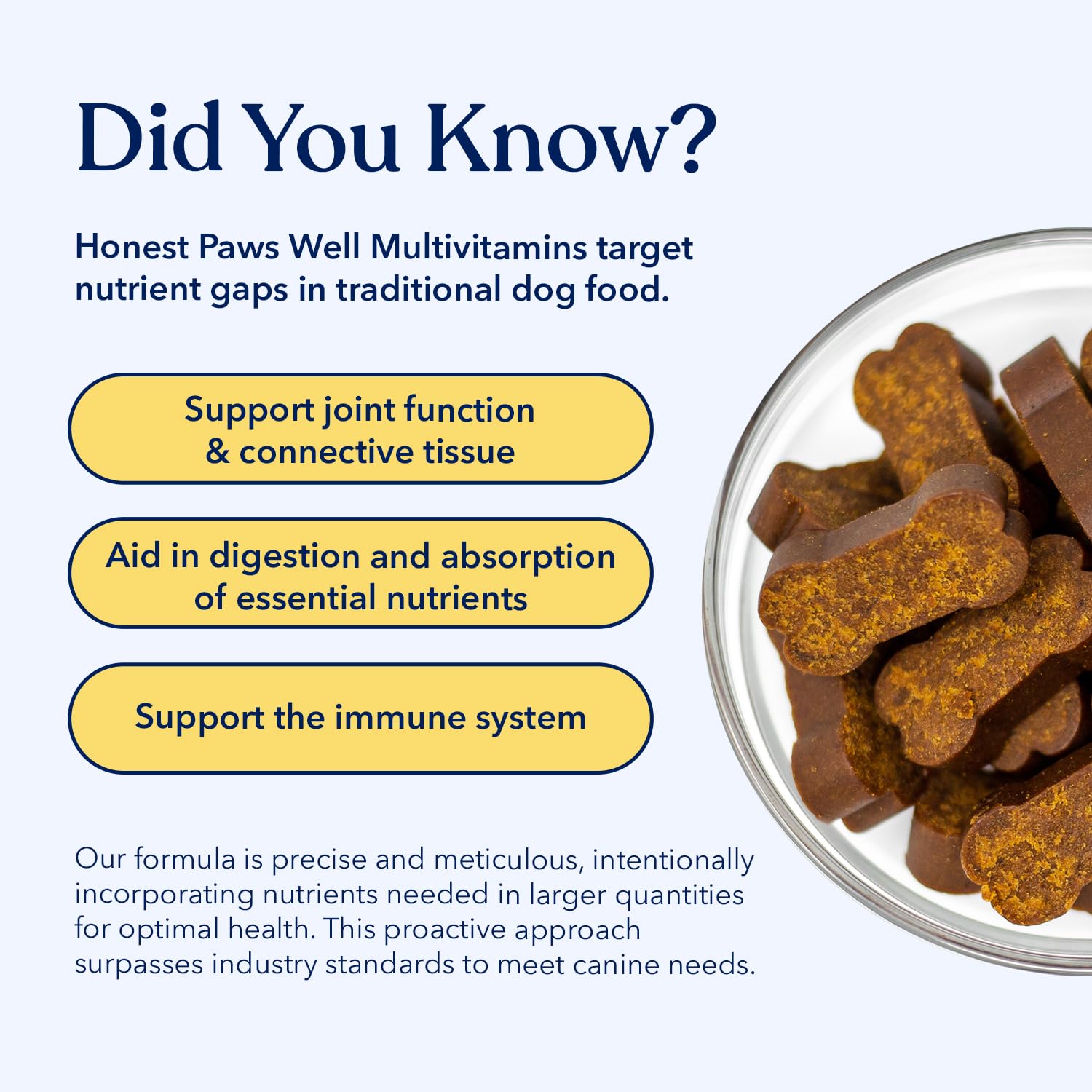 **Honest Paws Dog Multivitamin Soft Chews for Joint Health & Mobility - Glucosamine, Chondroitin & Omega-3 - Supports Healthy Coat, Immune System, Heart & Eyes - Beef Flavor - Perfect for Active & Senior Dogs**