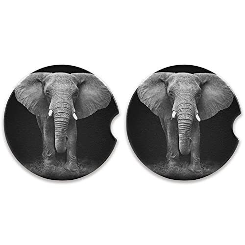 African Elephant