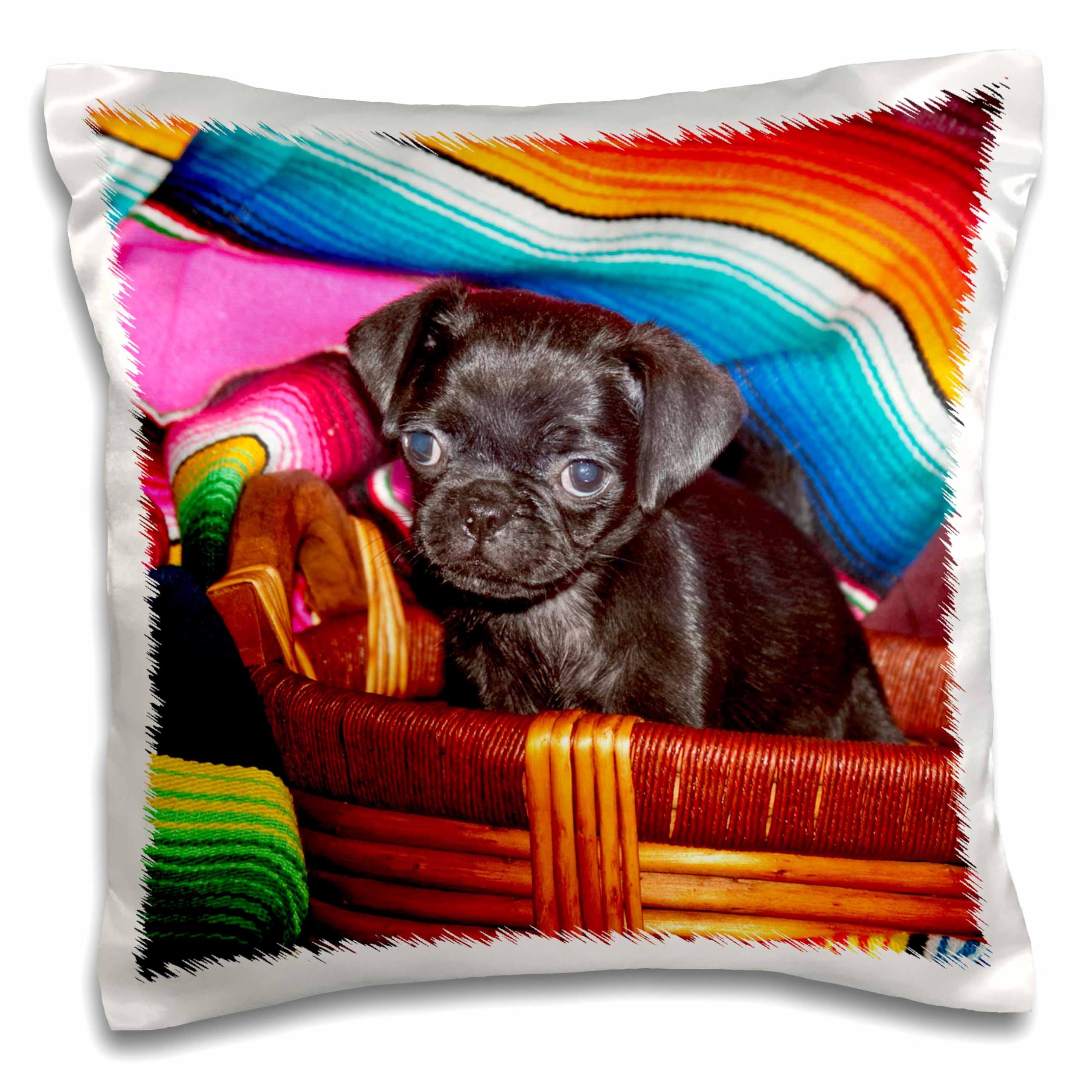 3dRose USA California Pug Puppy Sitting in Basket with Mexican Blanket - 16x16 Inch Decorative Pillow Case for Home, Living Room, Bedroom, Sofa - Cute Dog Gift Idea for Pet Lovers