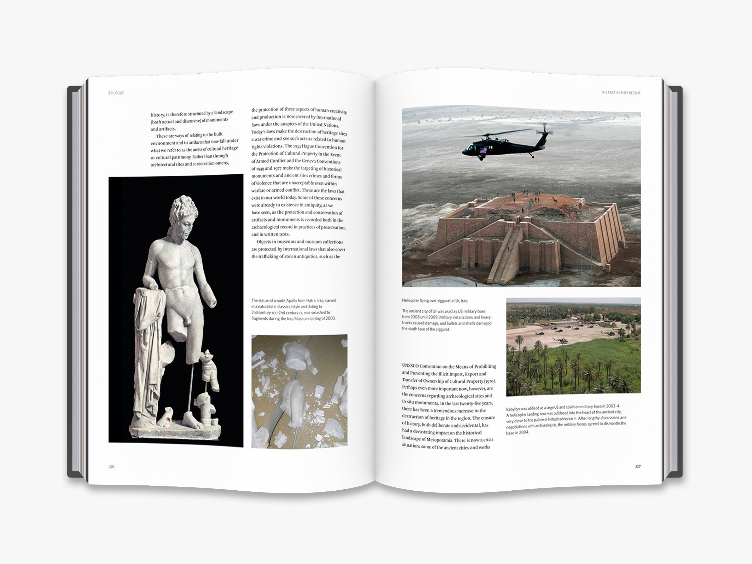 Mesopotamia Ancient History Books & Artifacts - Explore Sumerian, Babylonian, Akkadian Civilizations | Perfect for History Buffs, Classroom Learning & Cultural Decor