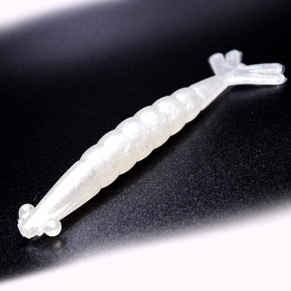 Thumper Shrimp 3 - Premium Freshwater Aquarium Shrimp for Fish Tanks - Perfect for Nano Tanks, Shrimp Colonies & Aquatic Plant Decorations