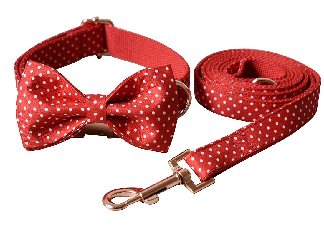 Personalized Dog Collar with Name & Phone - Small to Large Pets for Walks & ID