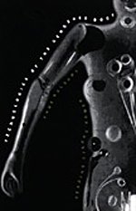 Gendered Body Technologies: Analyzing Cyborg Women in Sci-Fi & Feminist Theory | Perfect for Gender Studies & Literature Courses