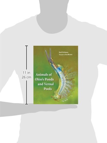 Animals of Ohio's Ponds and Vernal Pools - Wildlife Guide for Nature Enthusiasts & Outdoor Education | Perfect for Birdwatching, Hiking, and Classroom Learning