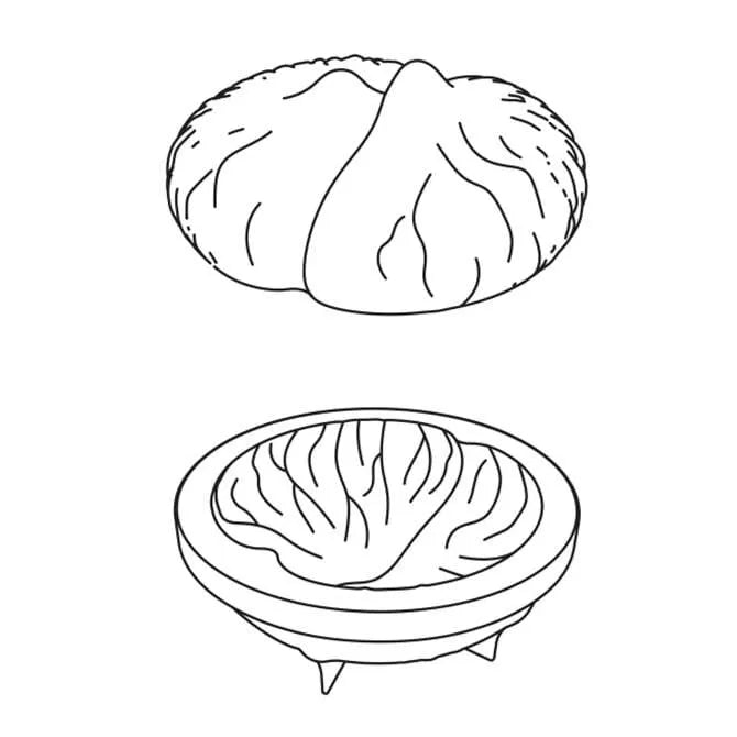 Cedric Grolet Pavocake Marron 1 Form - Premium French Pastry for Special Occasions, Gifts & Dessert Lovers