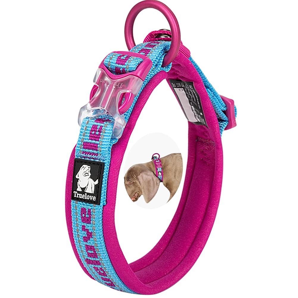 Reflective Neoprene Padded Dog Collar - Adjustable Nylon Pet Collar for Medium & Large Dogs | Night Safety Walking, Outdoor Adventures (Blue/Pink, XXL)
