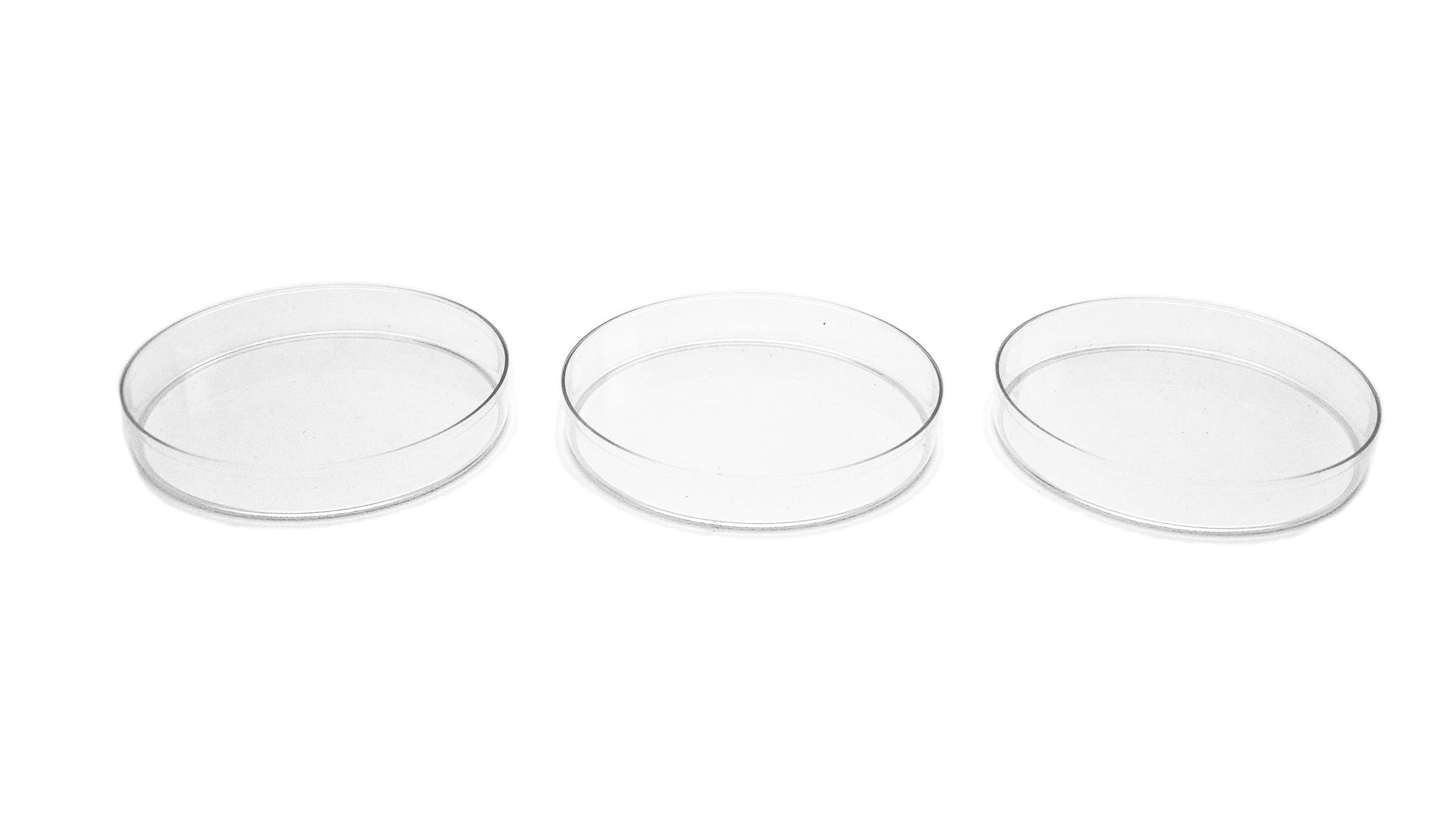CAROLINACUSTOMCAGES Phoenix Worm Feeding Dishes - Set of 3 | Durable Reptile Food Bowls for Bearded Dragons, Chameleons & Lizards | Perfect for Terrariums & Reptile Habitats