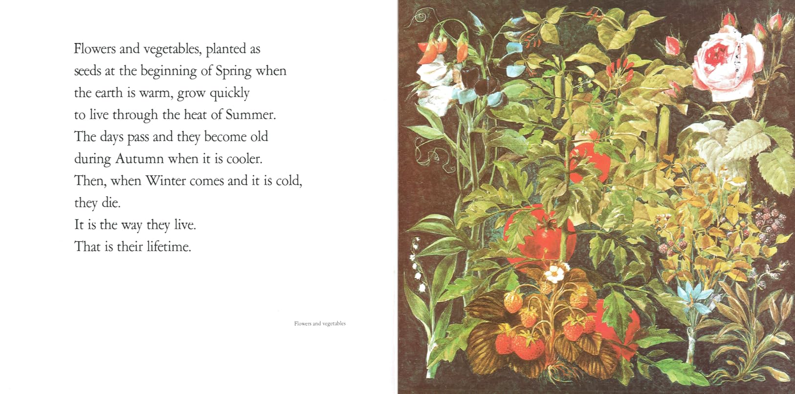Lifetimes: A Beautiful Children's Book About Death and Loss - Perfect for Explaining Grief to Kids at Home or in School