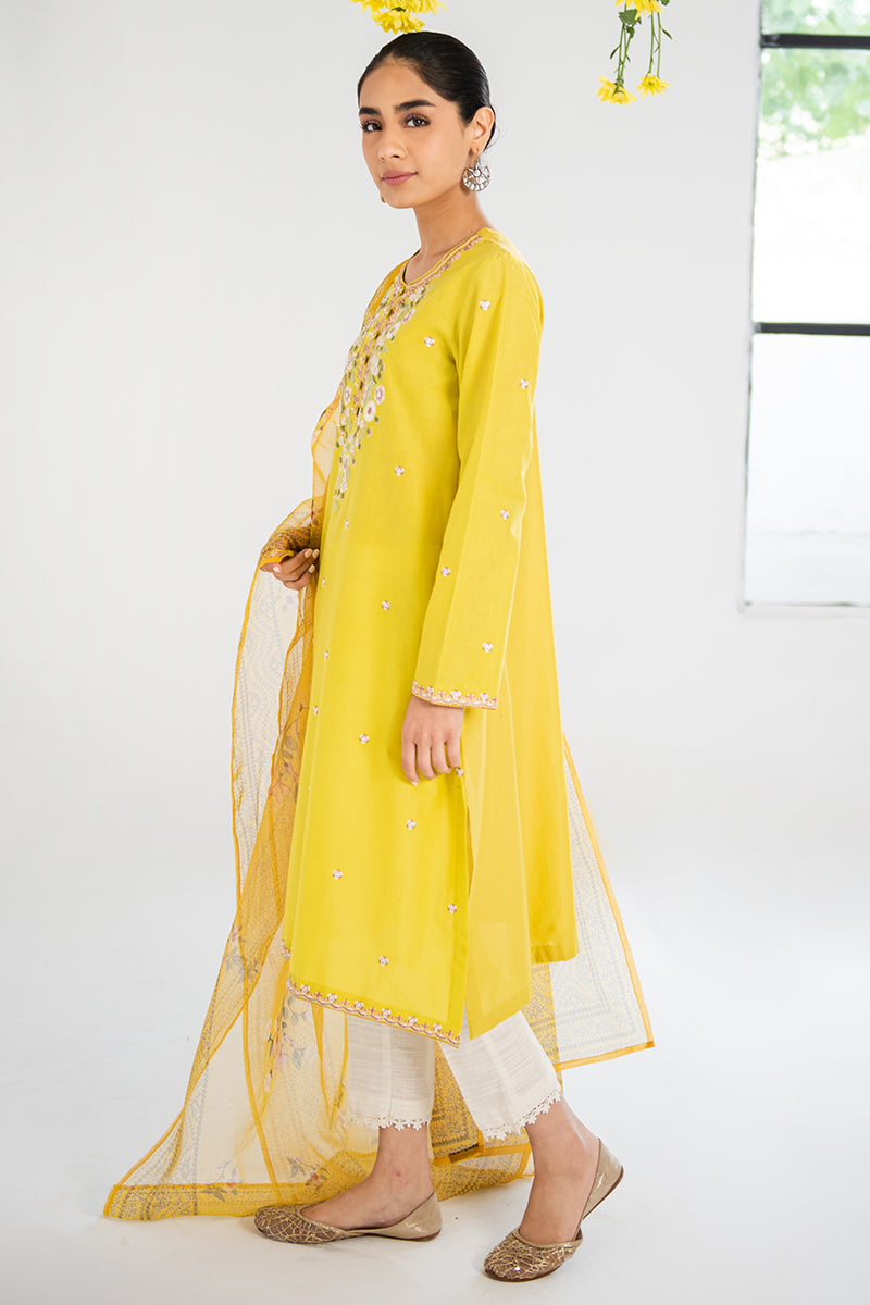 Amber Glow 2-Piece Outfit Set (Shirt & Dupatta) - Elegant Ethnic Wear for Women | Perfect for Weddings, Parties & Festive Occasions