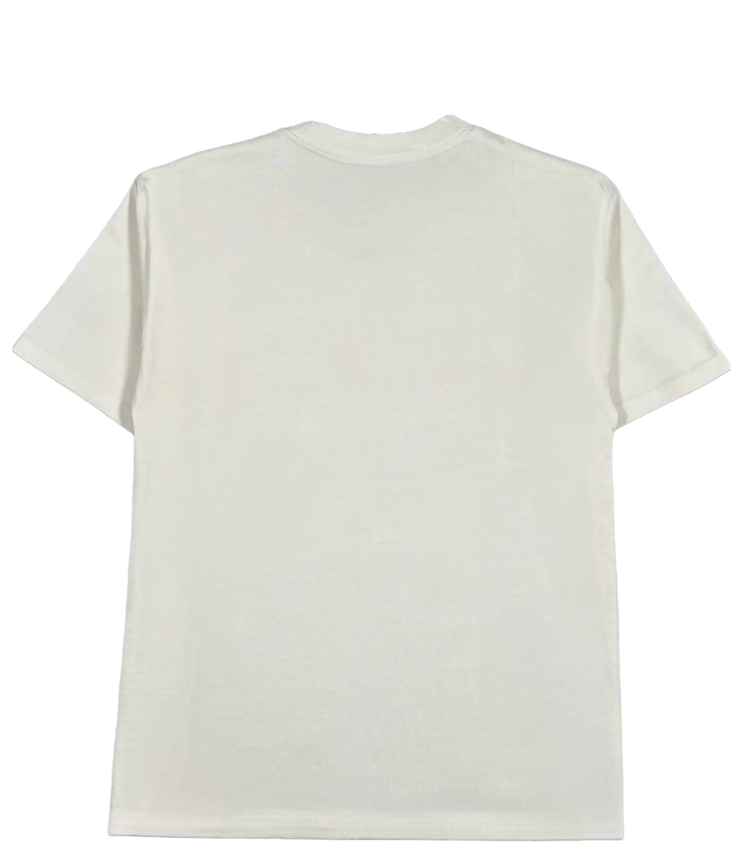 Premium Probus Frame Tee in Cream - Soft Cotton Crewneck T-Shirt for Men & Women | Perfect for Casual Wear, Layering & Everyday Comfort