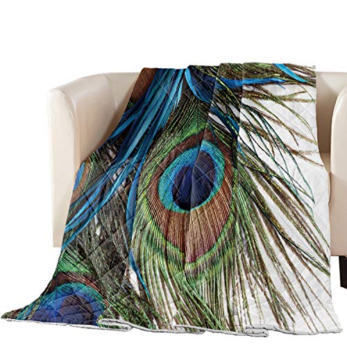 Premium Quilted King Size Bedspread - Soft Peacock Feather Design Cotton Filled Coverlet for Bed, Couch or Sofa | Cozy Home Decor & Guest Room Luxury Bedding