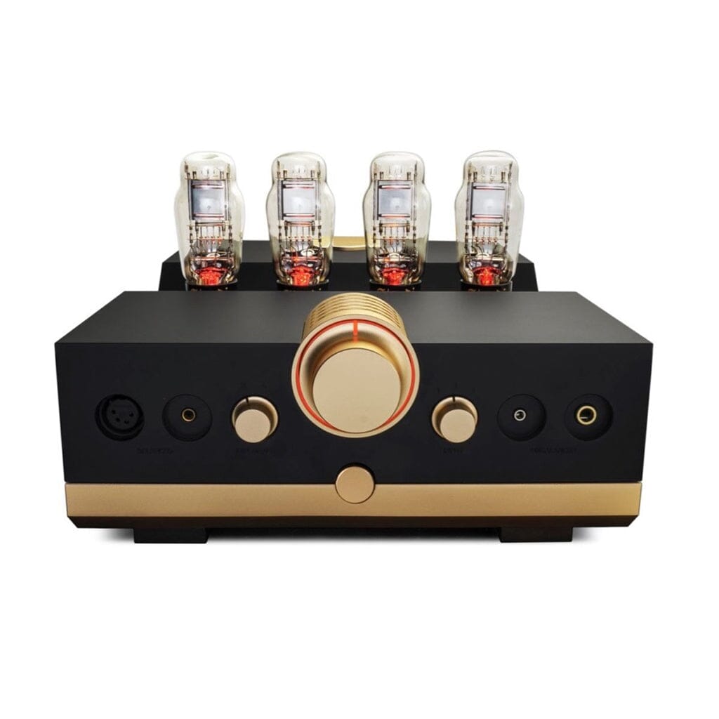 Woo Audio WA24 Headphone Tube Amplifier - 20th Anniversary Edition | High-End Vacuum Tube Headphone Amp for Audiophiles | Perfect for Home Studio & Music Listening Sessions