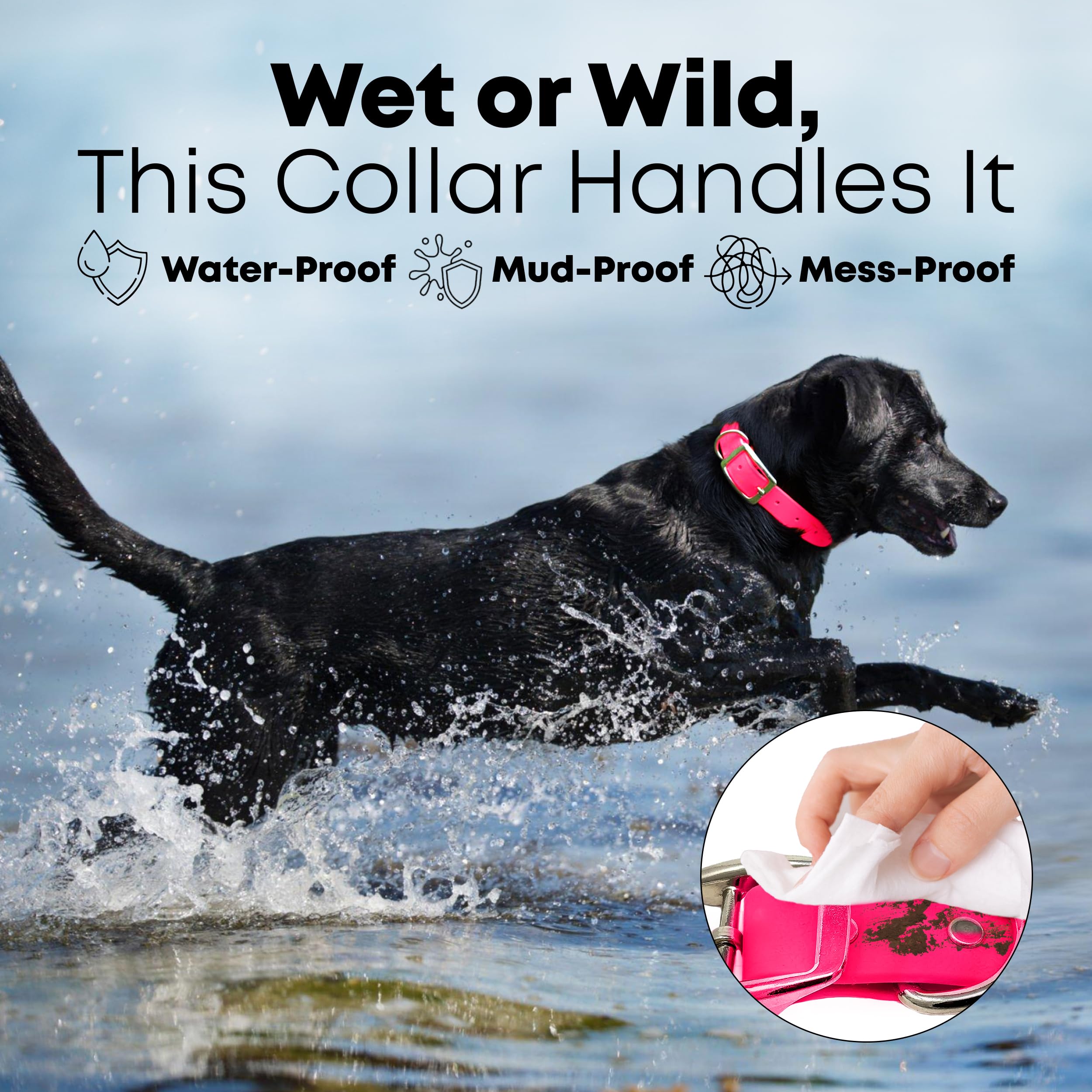 Regal Dog Products Small Pink Waterproof Dog Collar and Leash Set - Heavy Duty Double Buckle & D Ring | 5ft Chew Resistant Biothane Leash | Adjustable Waterproof Dog Collar for Small Dogs | Perfect for Walking, Training & Outdoor Adventures