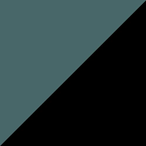 Sea Teal