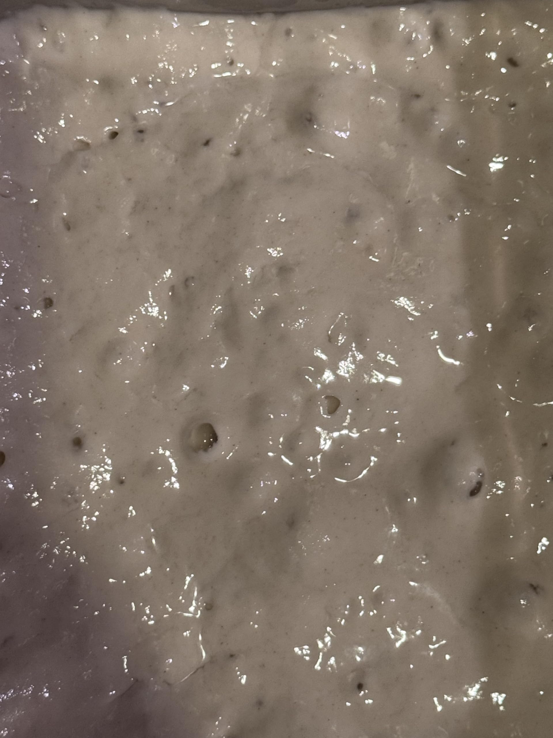 110+ Year Old All Natural Live Hungarian Sourdough Starter | 100g | Pre-Fed & Active Culture | Includes Artisan Bread Recipe | Perfect for Homemade Bread Baking & Sourdough Pizza