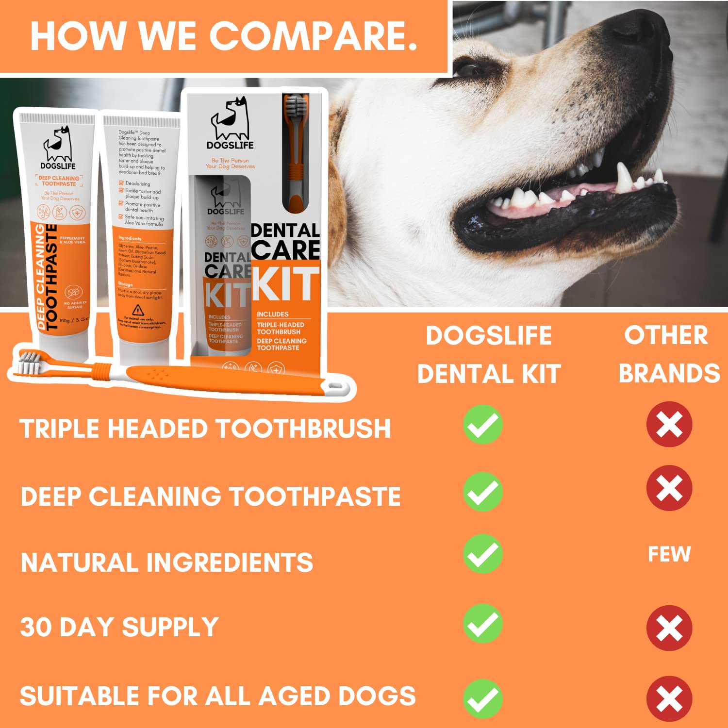**Triple-Headed Dog Toothbrush & 100% Natural Toothpaste Set – Vet-Approved Dental Kit for Deep Cleaning, Freshens Breath & Removes Plaque – Perfect for Daily Dog Oral Care at Home**