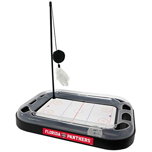 Florida Panthers