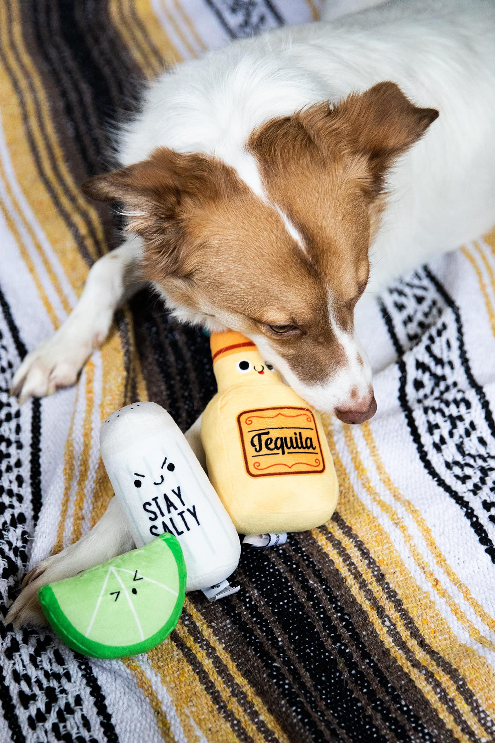 Pearhead Plush Squeaker Dog Toys & Cat Teaser Toys Set - Interactive Pet Play Toys for Dogs and Cats - Perfect for Training, Bonding & Playtime at Home or Outdoors