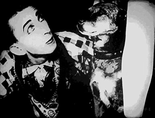 Larry Semon: The Ultimate Collection Disc 3 - Classic Silent Comedy DVD | Endless Slapstick Humor | Perfect for Movie Nights & Vintage Film Enthusiasts
